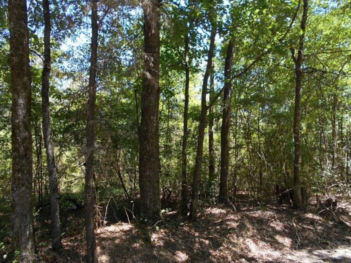 Picture of Residential Land For Sale in Monticello, Mississippi, United States