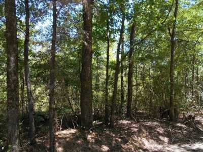 Residential Land For Sale in Monticello, Mississippi