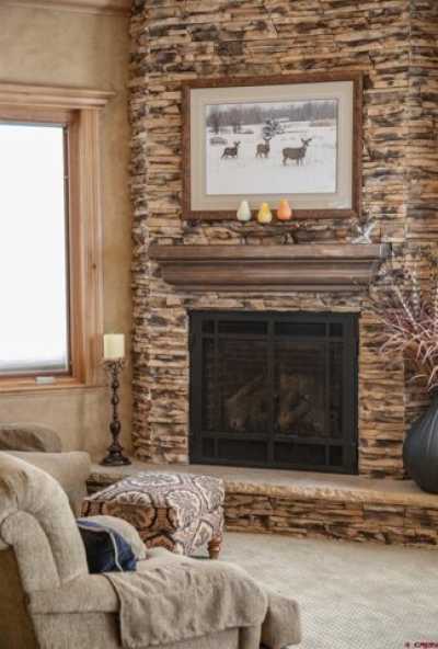 Home For Sale in South Fork, Colorado