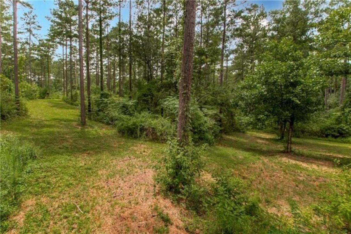 Picture of Residential Land For Sale in Franklinton, Louisiana, United States