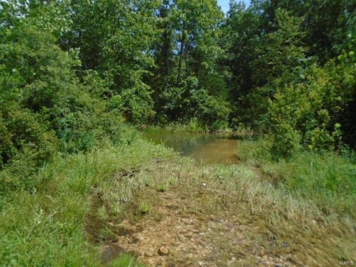 Picture of Residential Land For Sale in Annapolis, Missouri, United States