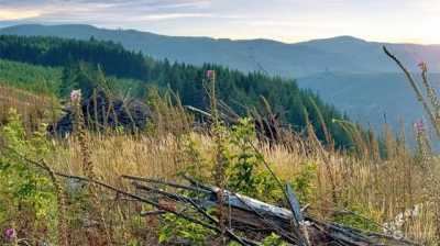 Residential Land For Sale in Woodland, Washington