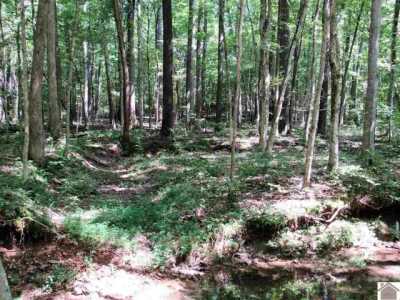 Residential Land For Sale in Cadiz, Kentucky