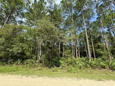 Residential Land For Sale in Palatka, Florida