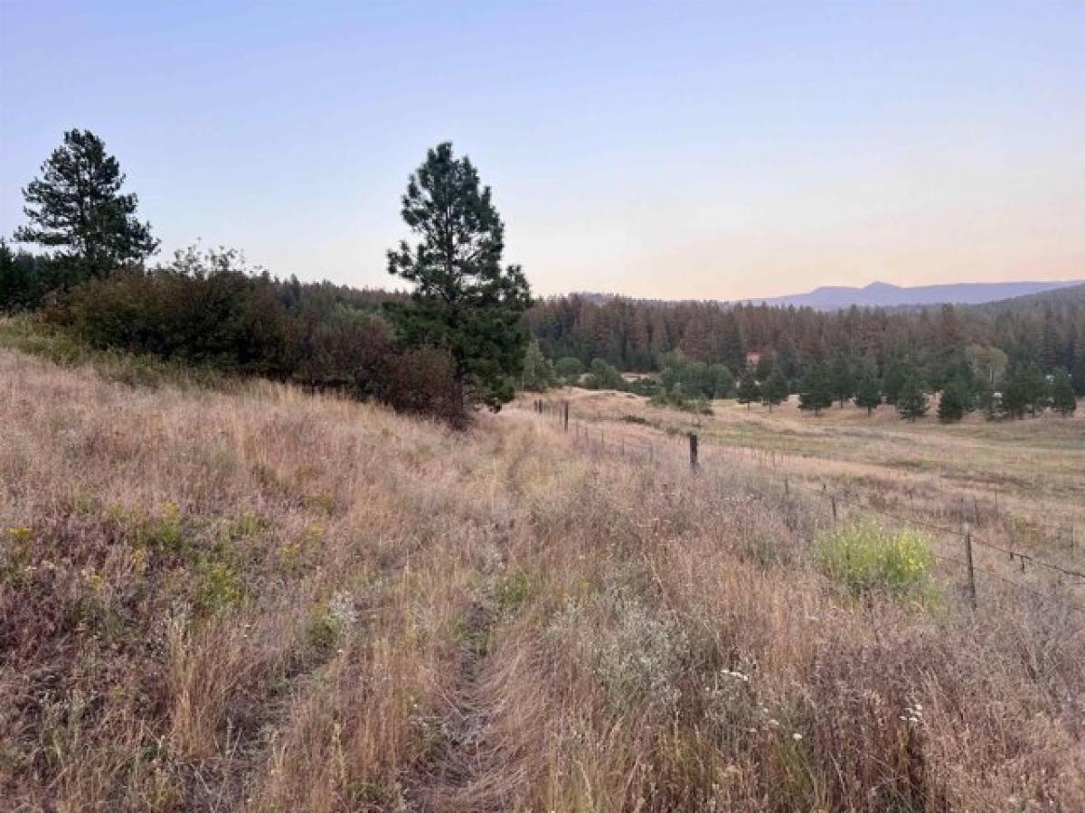 Picture of Residential Land For Sale in Republic, Washington, United States