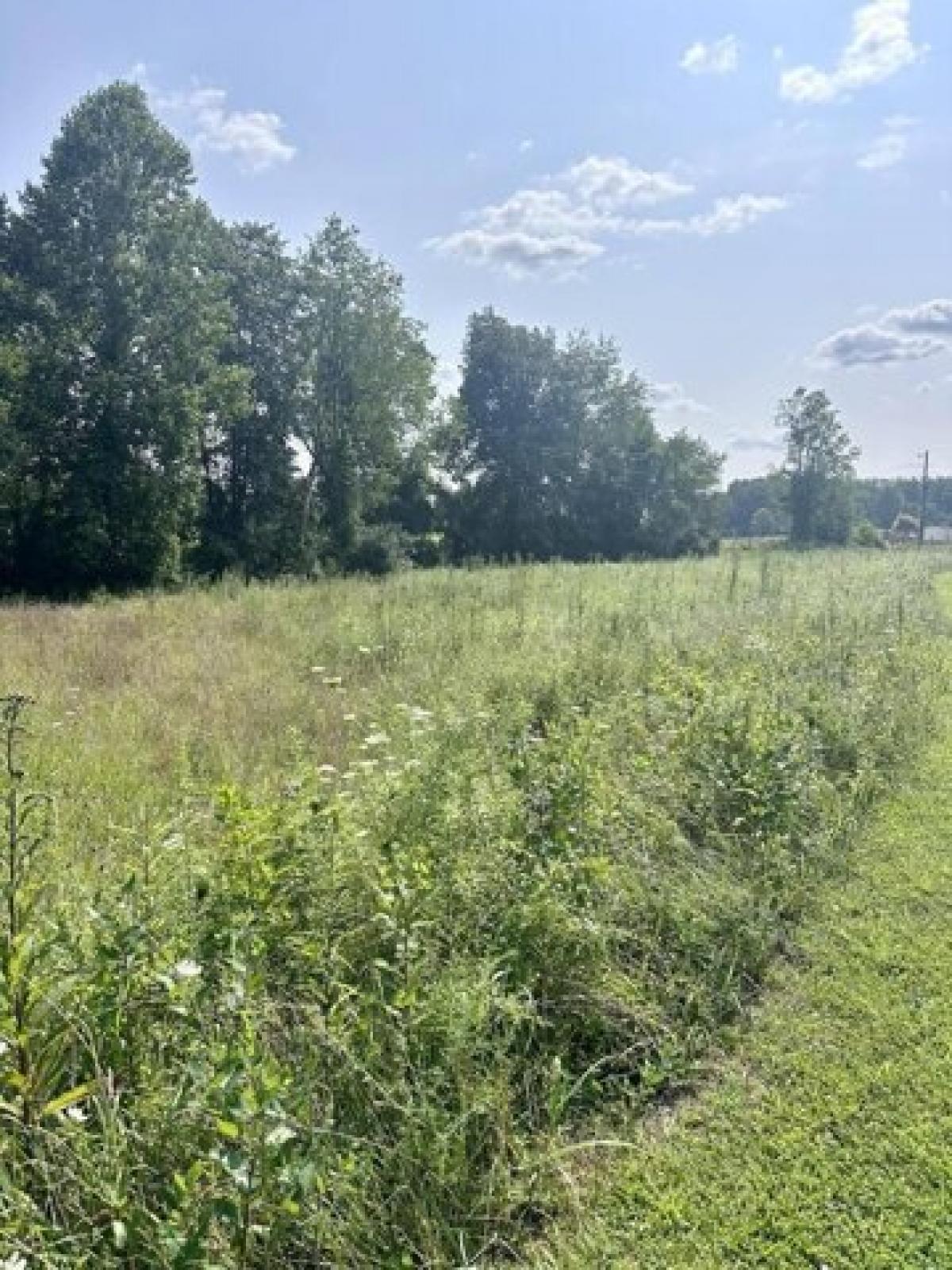 Picture of Residential Land For Sale in Morehead, Kentucky, United States