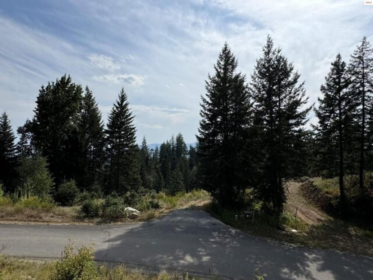 Picture of Residential Land For Sale in Sandpoint, Idaho, United States