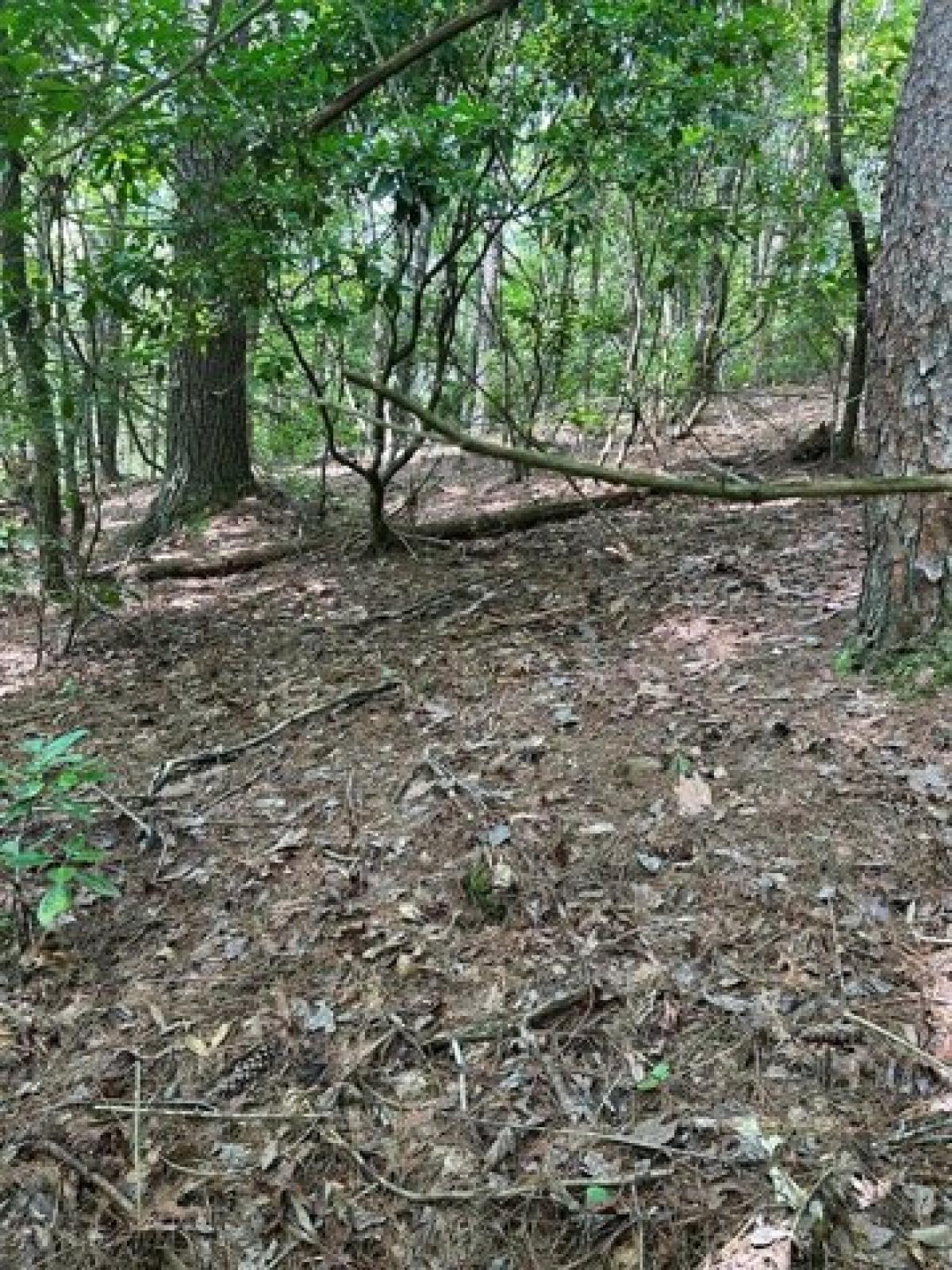 Picture of Residential Land For Sale in Brasstown, North Carolina, United States