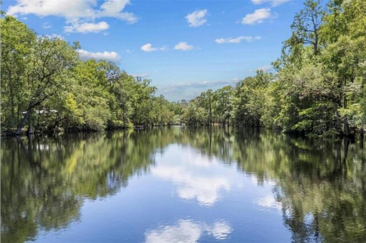 Picture of Residential Land For Sale in Fort White, Florida, United States