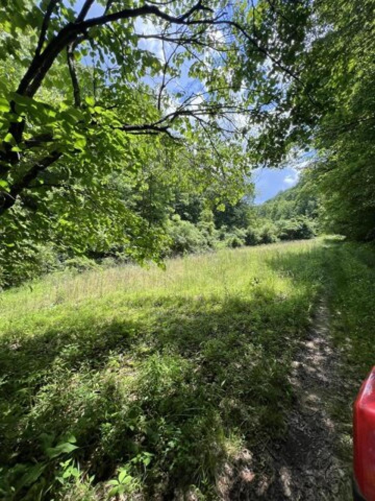 Picture of Residential Land For Sale in West Liberty, Kentucky, United States