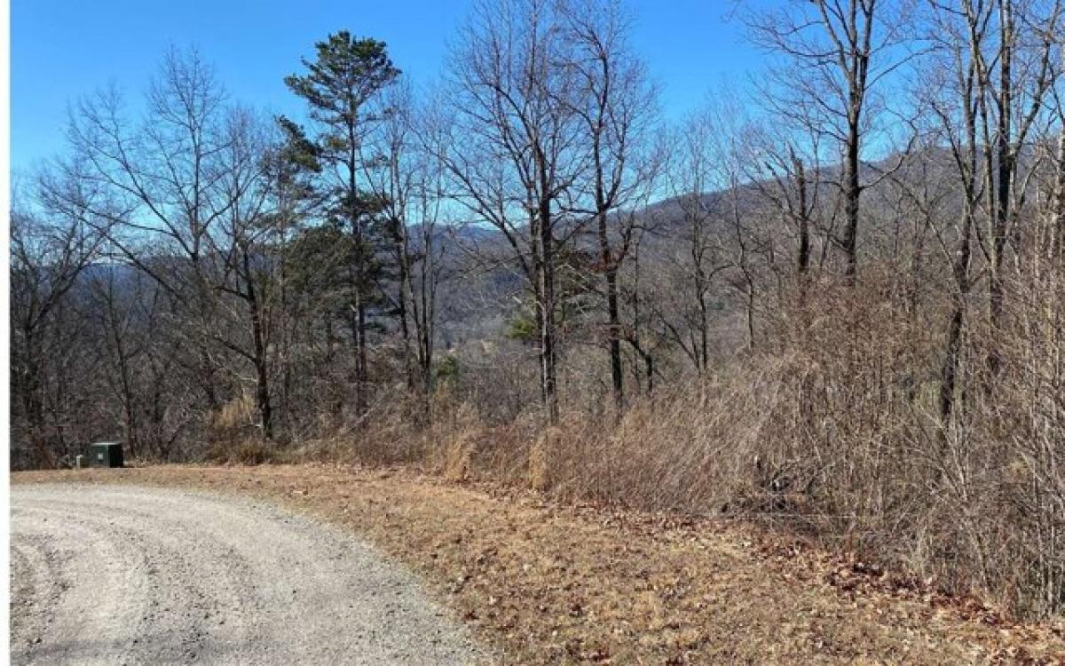 Picture of Residential Land For Sale in Marble, North Carolina, United States