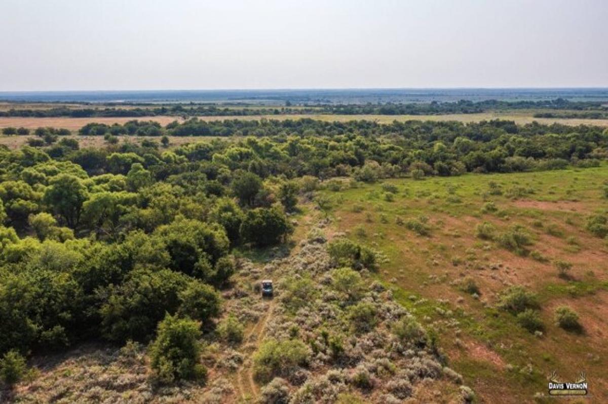 Picture of Home For Sale in Vernon, Texas, United States