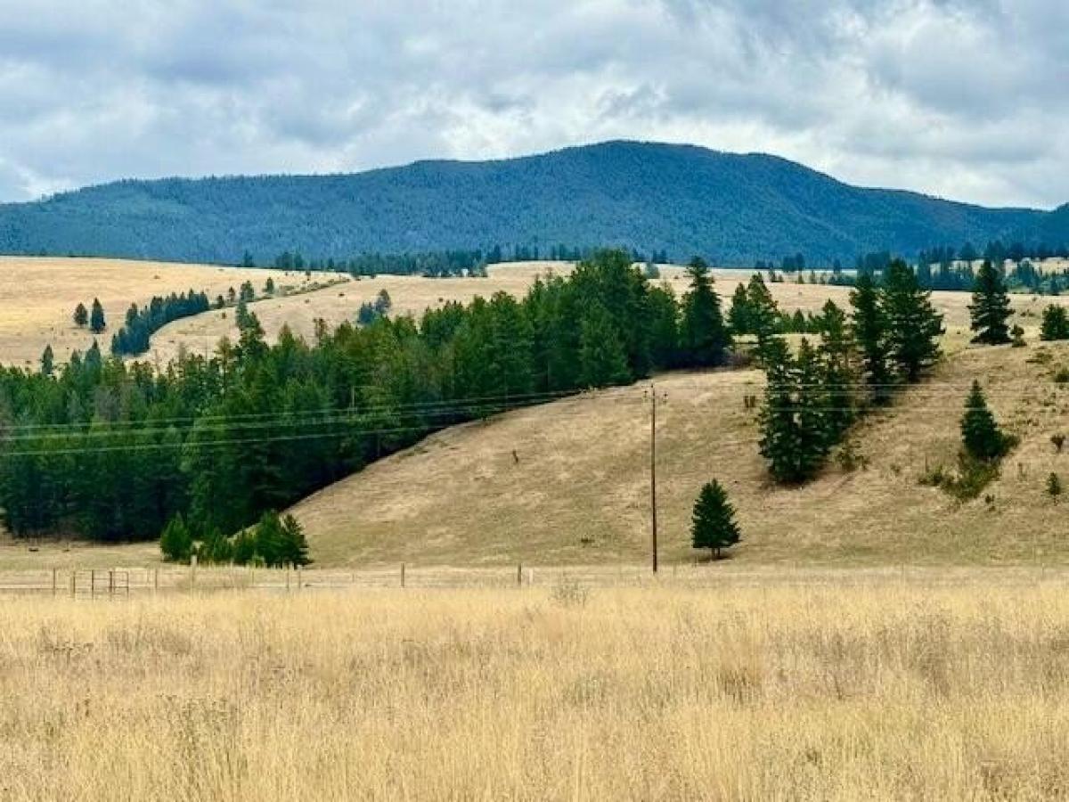 Picture of Residential Land For Sale in Eureka, Montana, United States