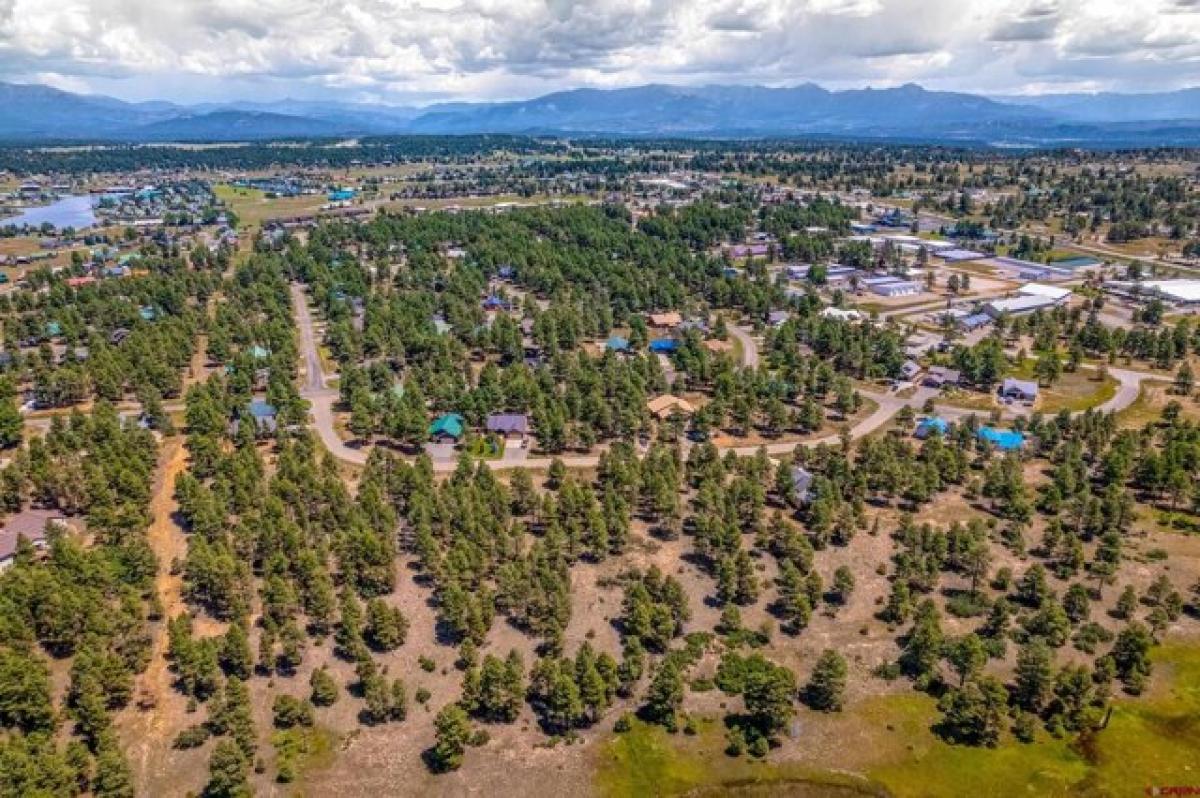 Picture of Residential Land For Sale in Pagosa Springs, Colorado, United States