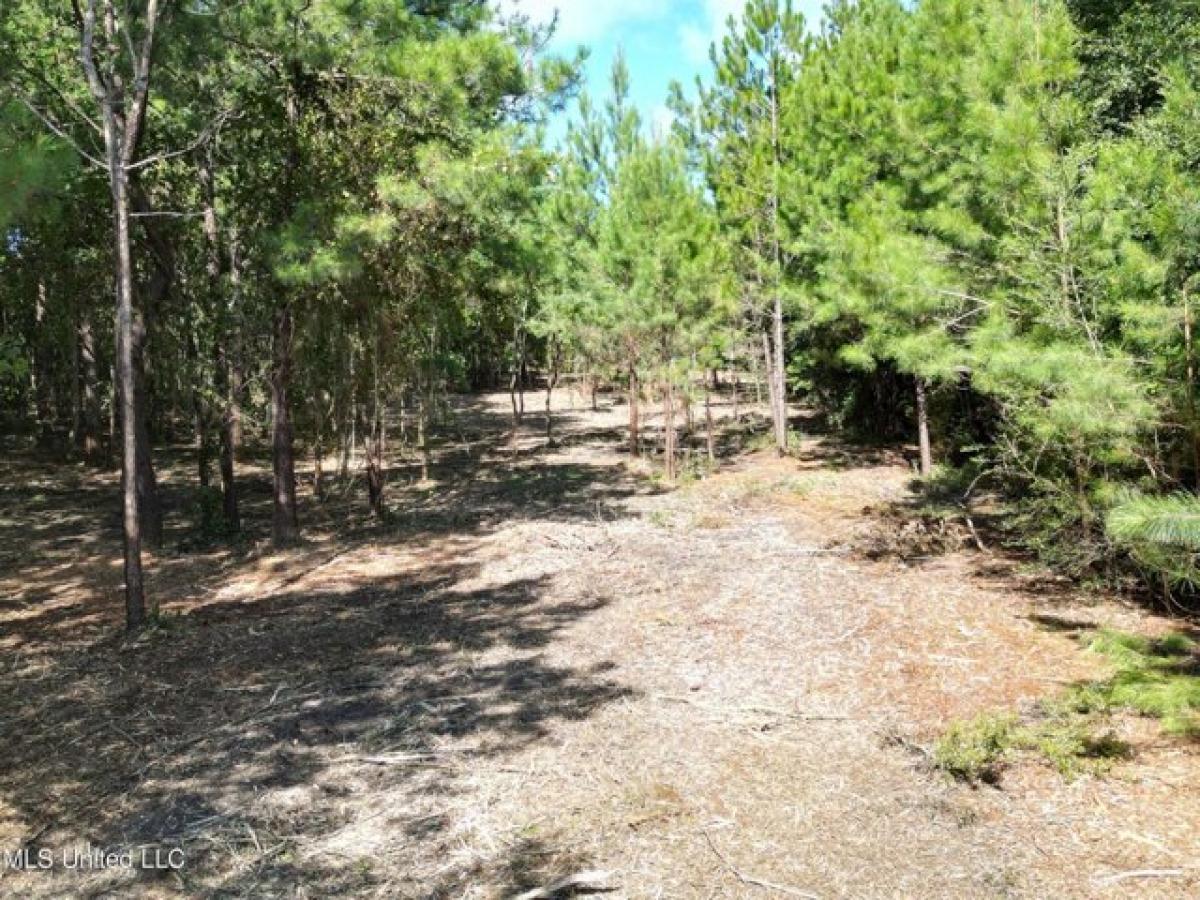 Picture of Residential Land For Sale in Kiln, Mississippi, United States