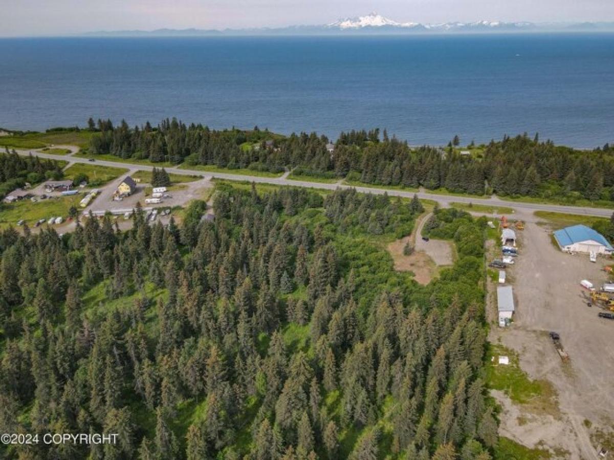 Picture of Residential Land For Sale in Anchor Point, Alaska, United States