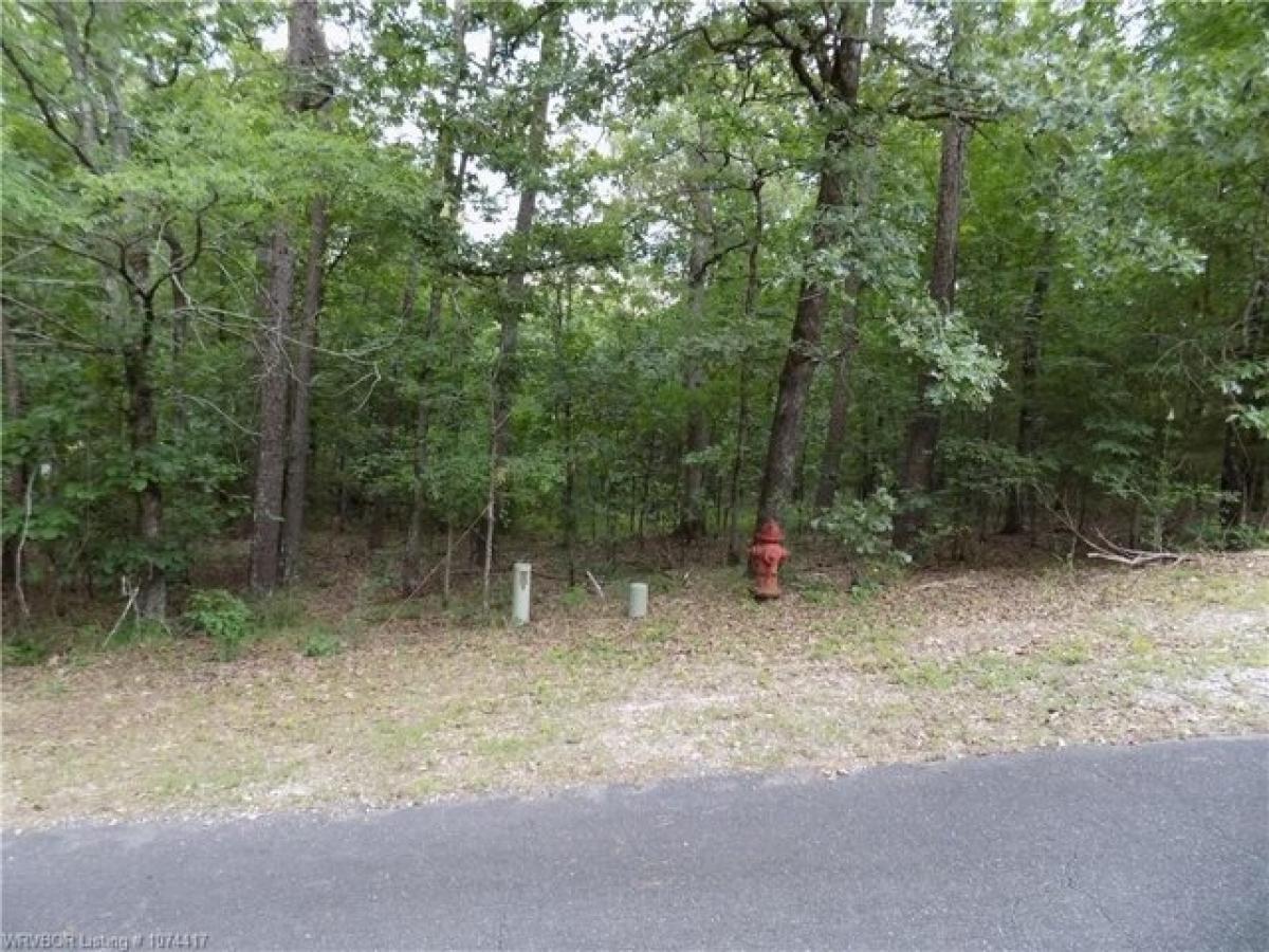 Picture of Residential Land For Sale in Hot Springs Village, Arkansas, United States