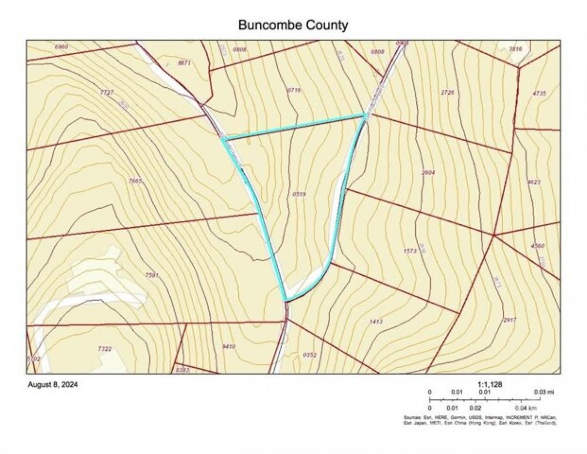 Picture of Residential Land For Sale in Black Mountain, North Carolina, United States