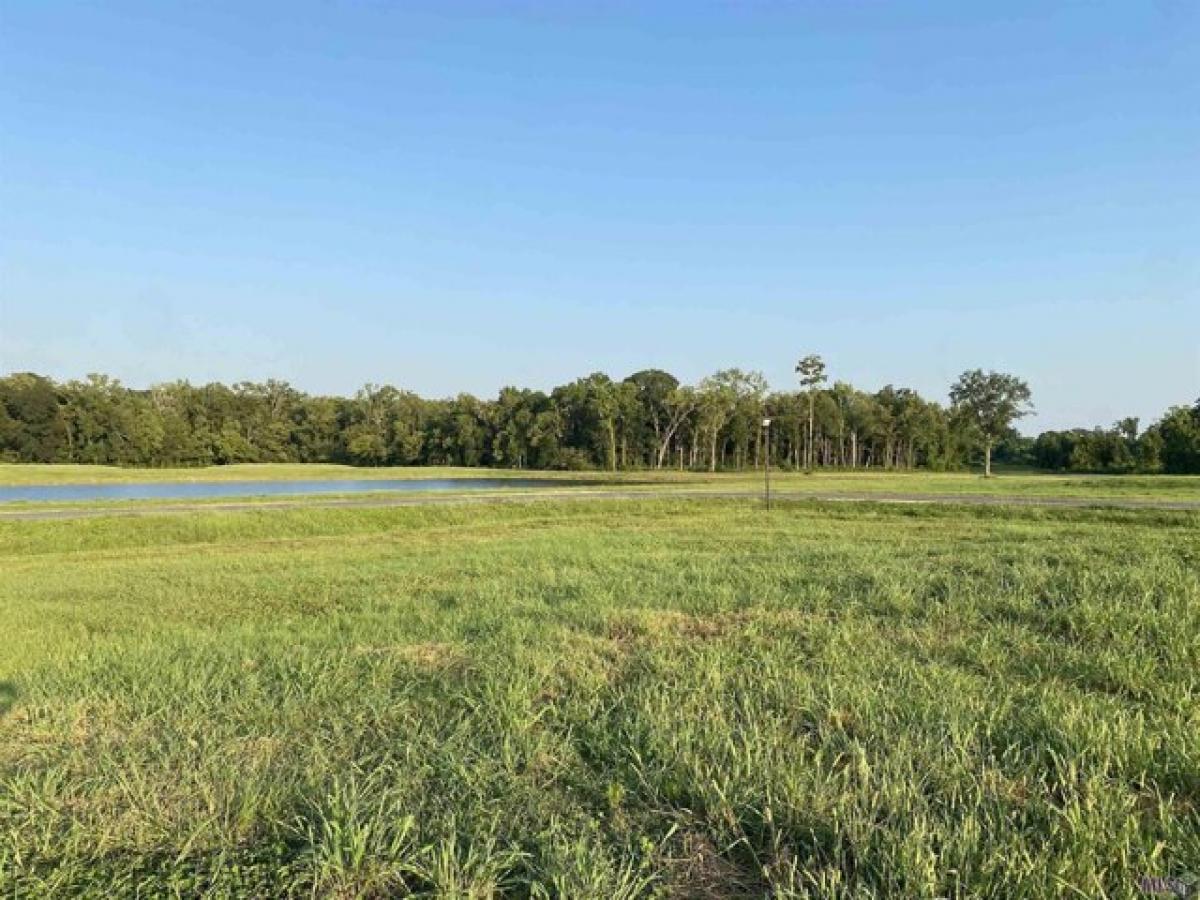 Picture of Residential Land For Sale in Gonzales, Louisiana, United States