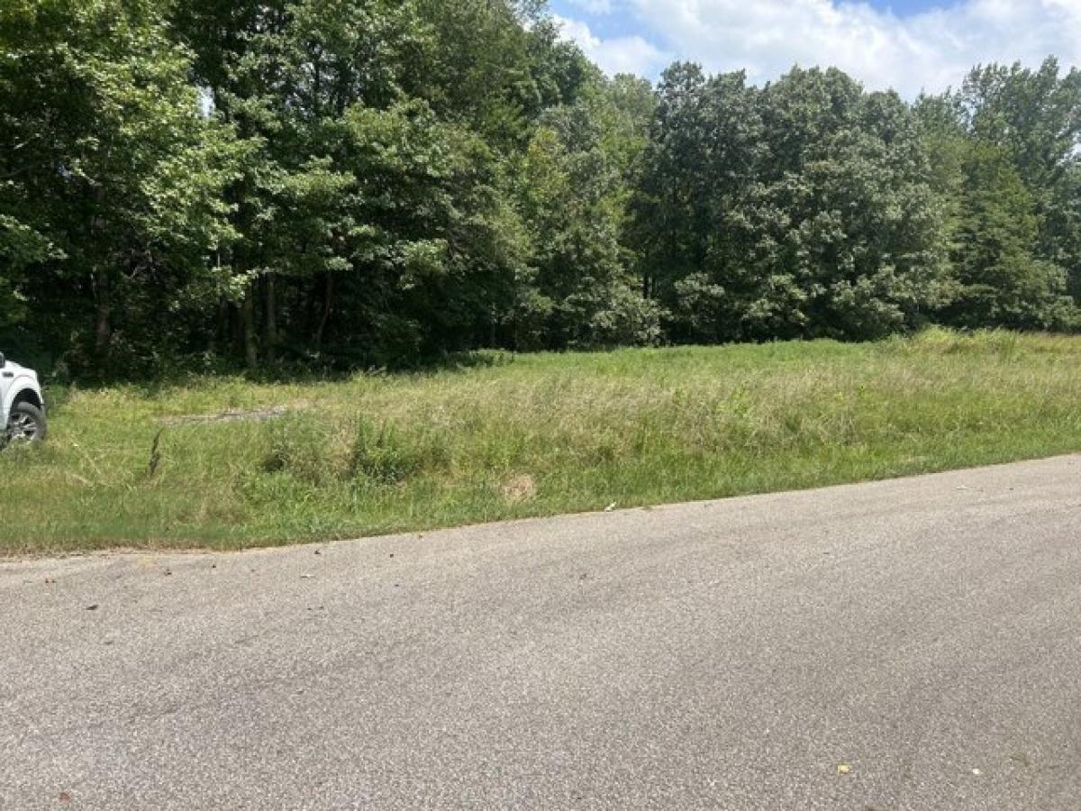 Picture of Residential Land For Sale in Camden, Tennessee, United States