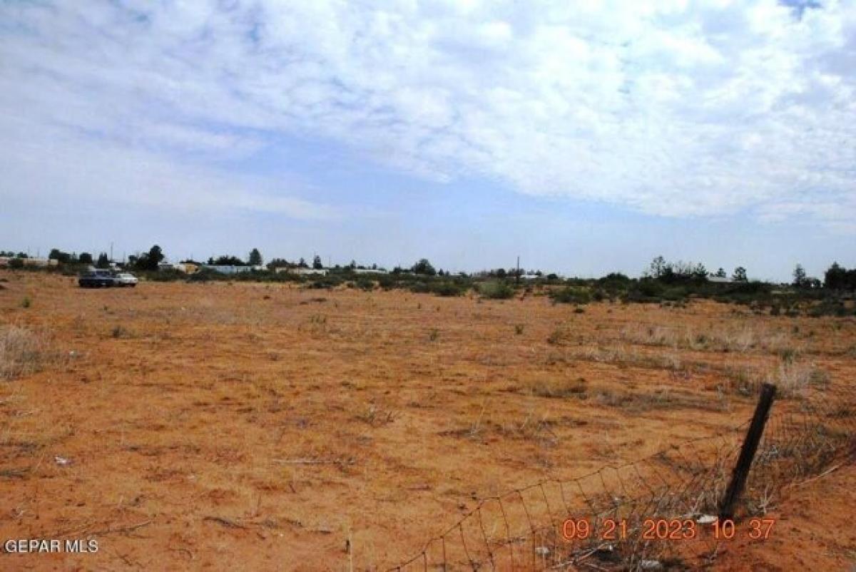 Picture of Residential Land For Sale in Chaparral, New Mexico, United States