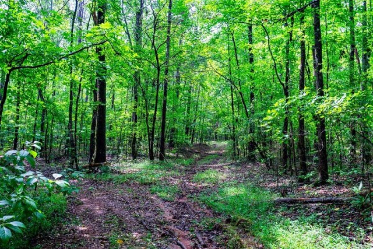 Picture of Residential Land For Sale in Lagrange, Georgia, United States