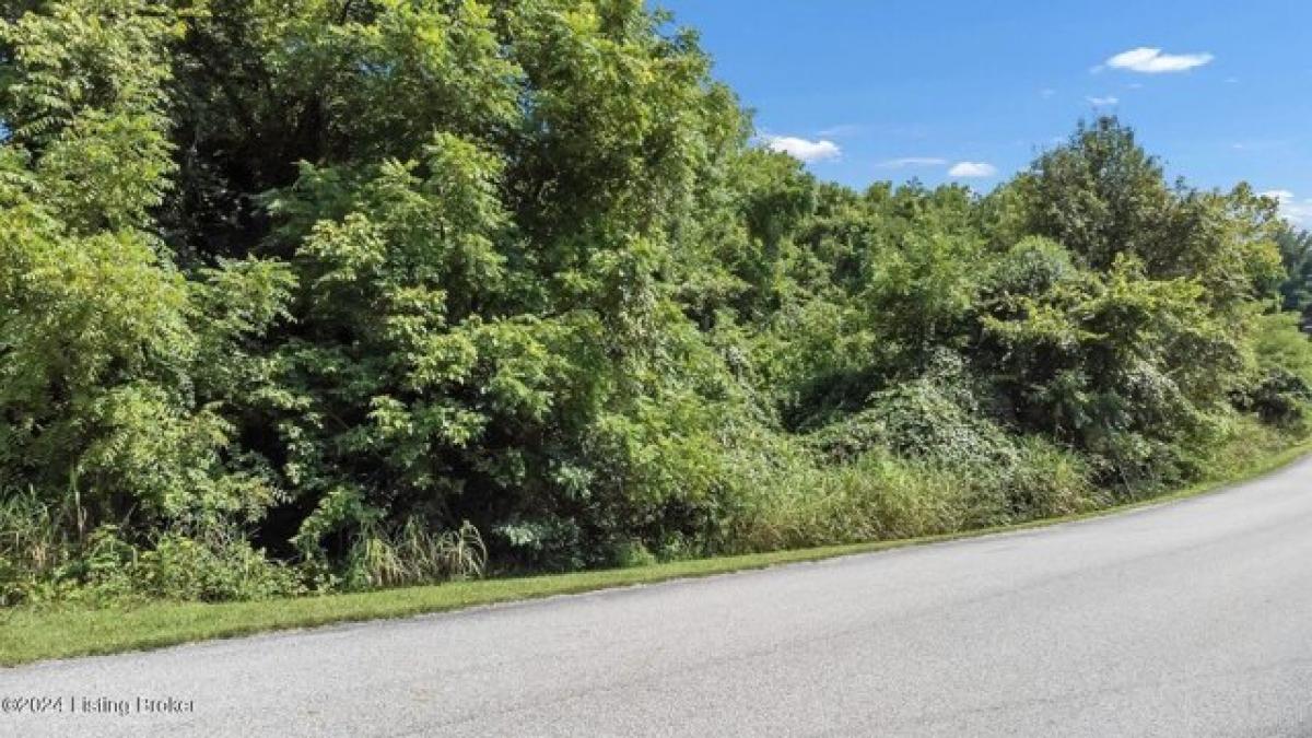 Picture of Residential Land For Sale in Taylorsville, Kentucky, United States