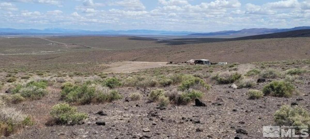 Picture of Residential Land For Sale in Fallon, Nevada, United States