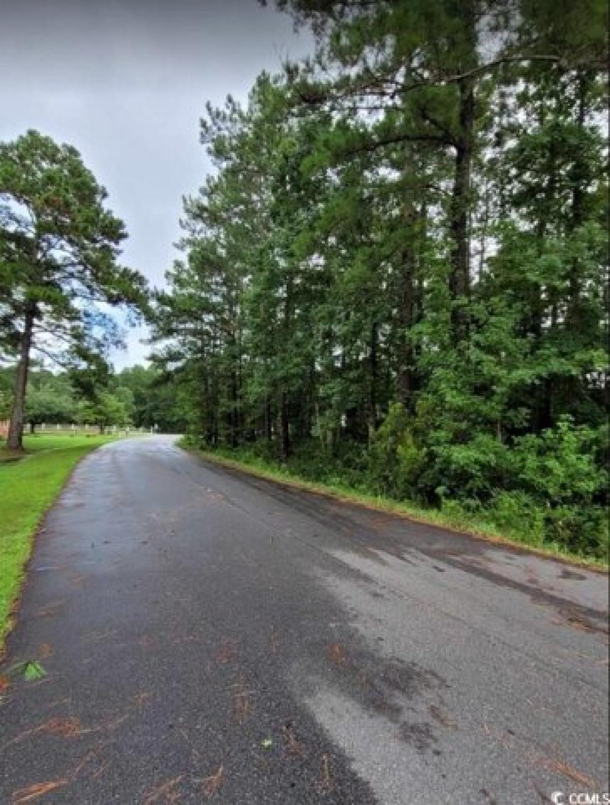 Picture of Residential Land For Sale in Georgetown, South Carolina, United States