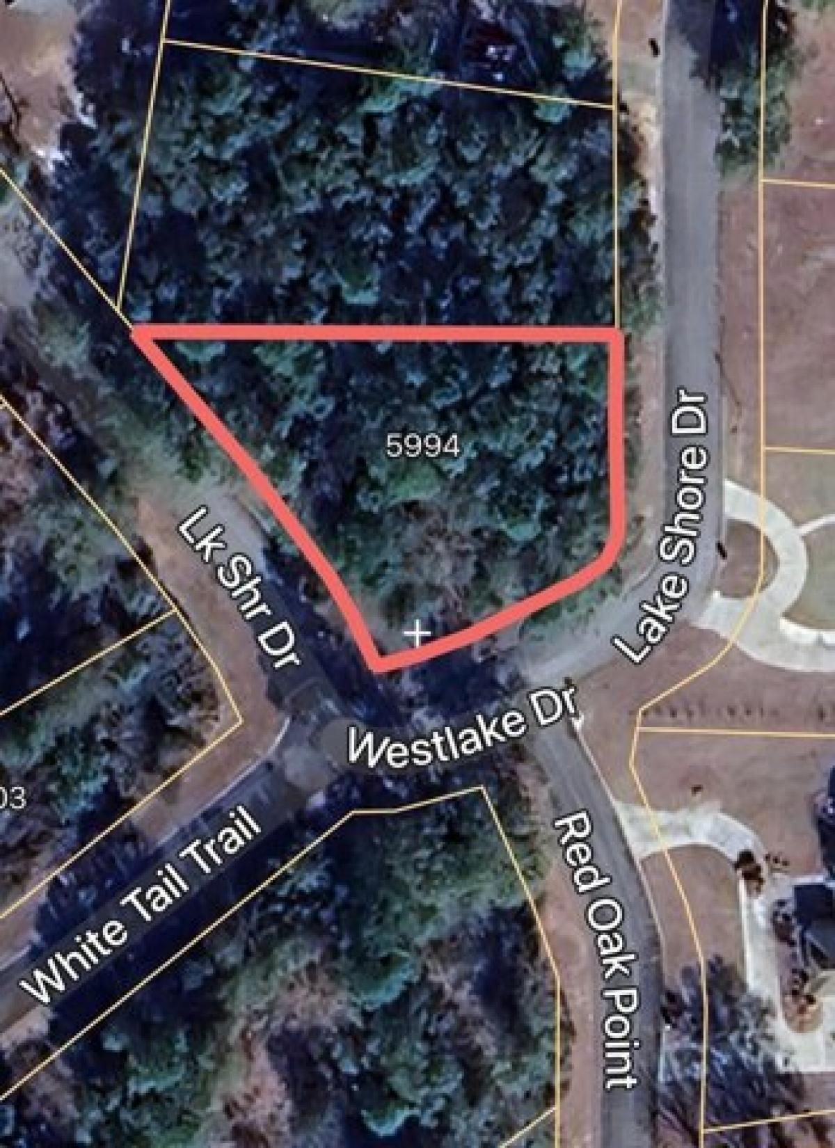 Picture of Residential Land For Sale in Naylor, Georgia, United States