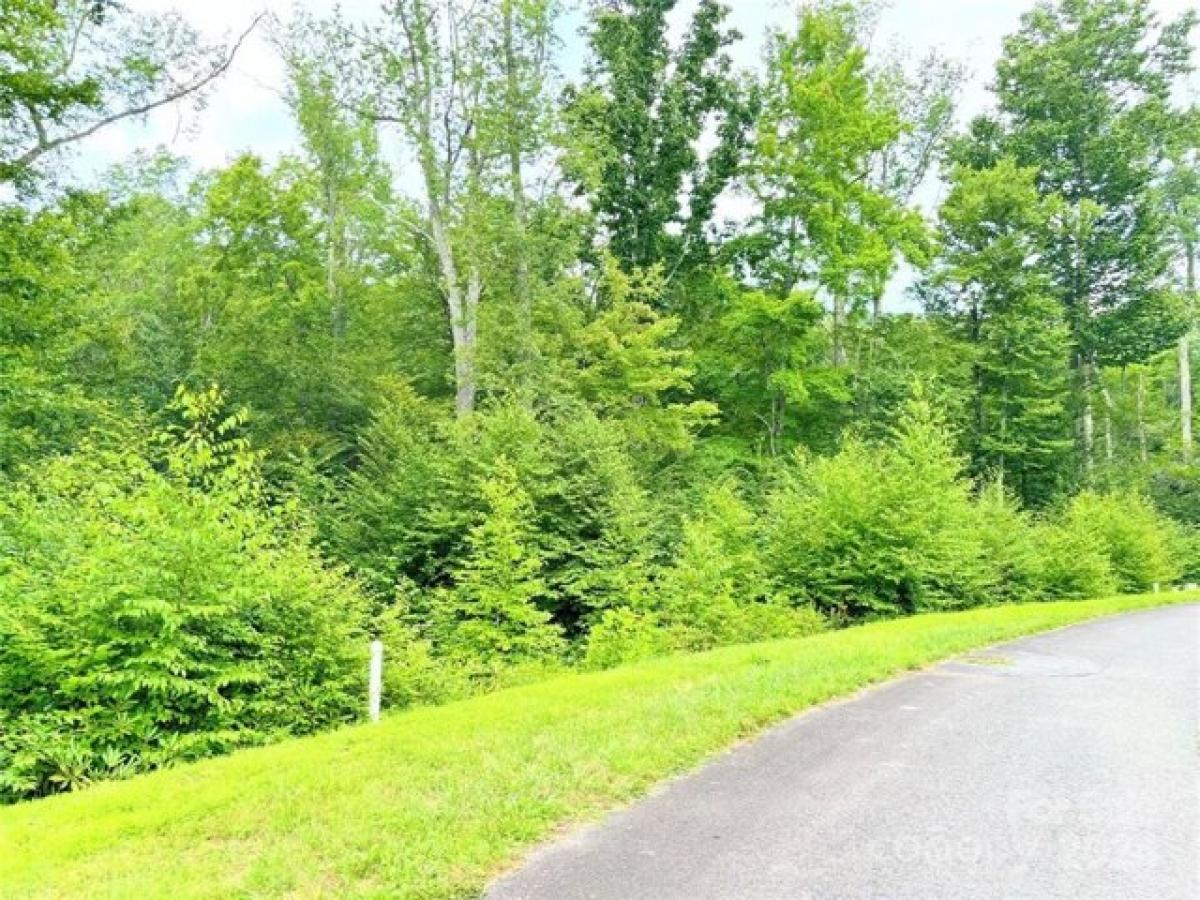 Picture of Residential Land For Sale in Linville, North Carolina, United States