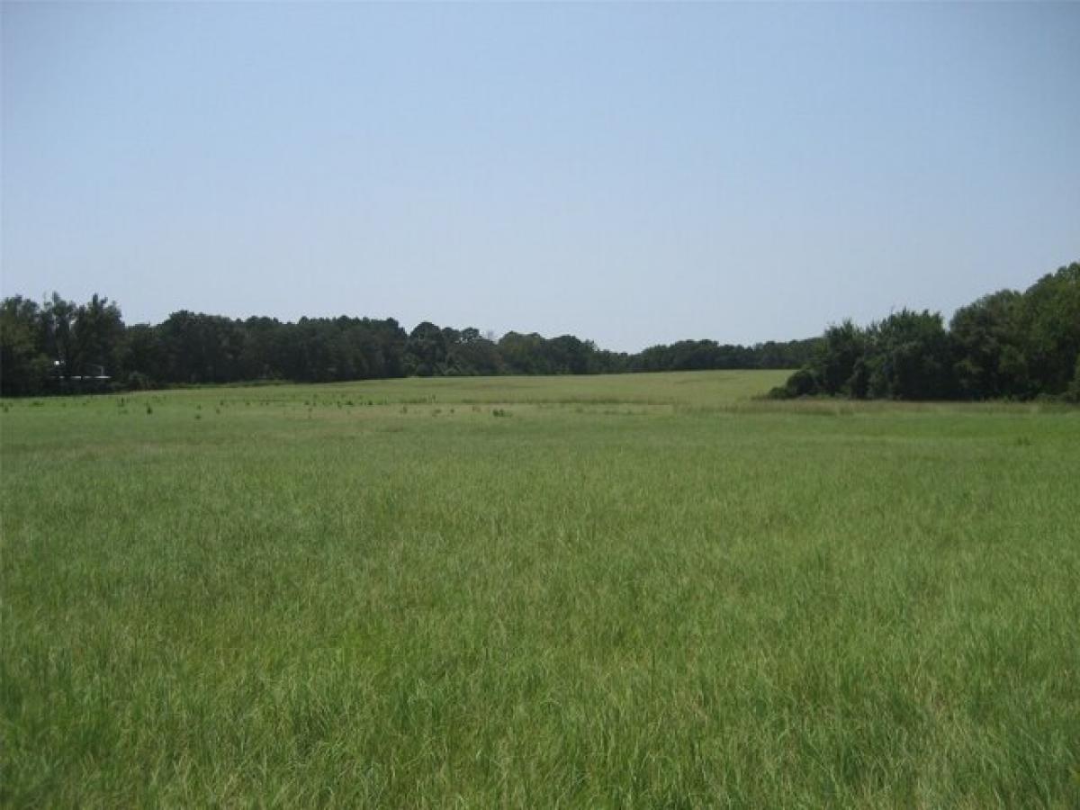 Picture of Residential Land For Sale in Elkhart, Texas, United States