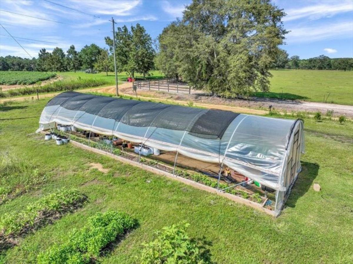 Picture of Home For Sale in Doerun, Georgia, United States