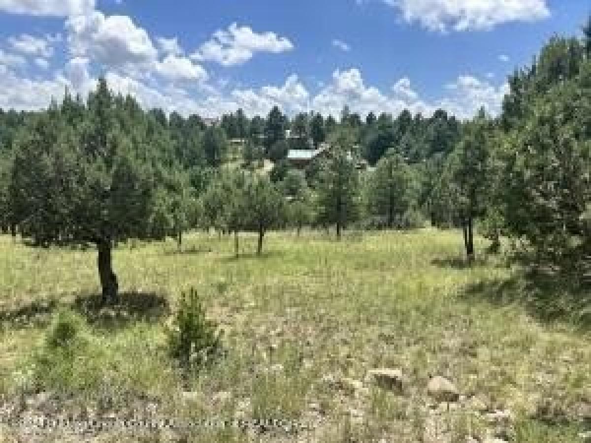 Picture of Residential Land For Sale in Alto, New Mexico, United States