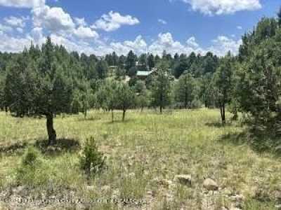 Residential Land For Sale in Alto, New Mexico