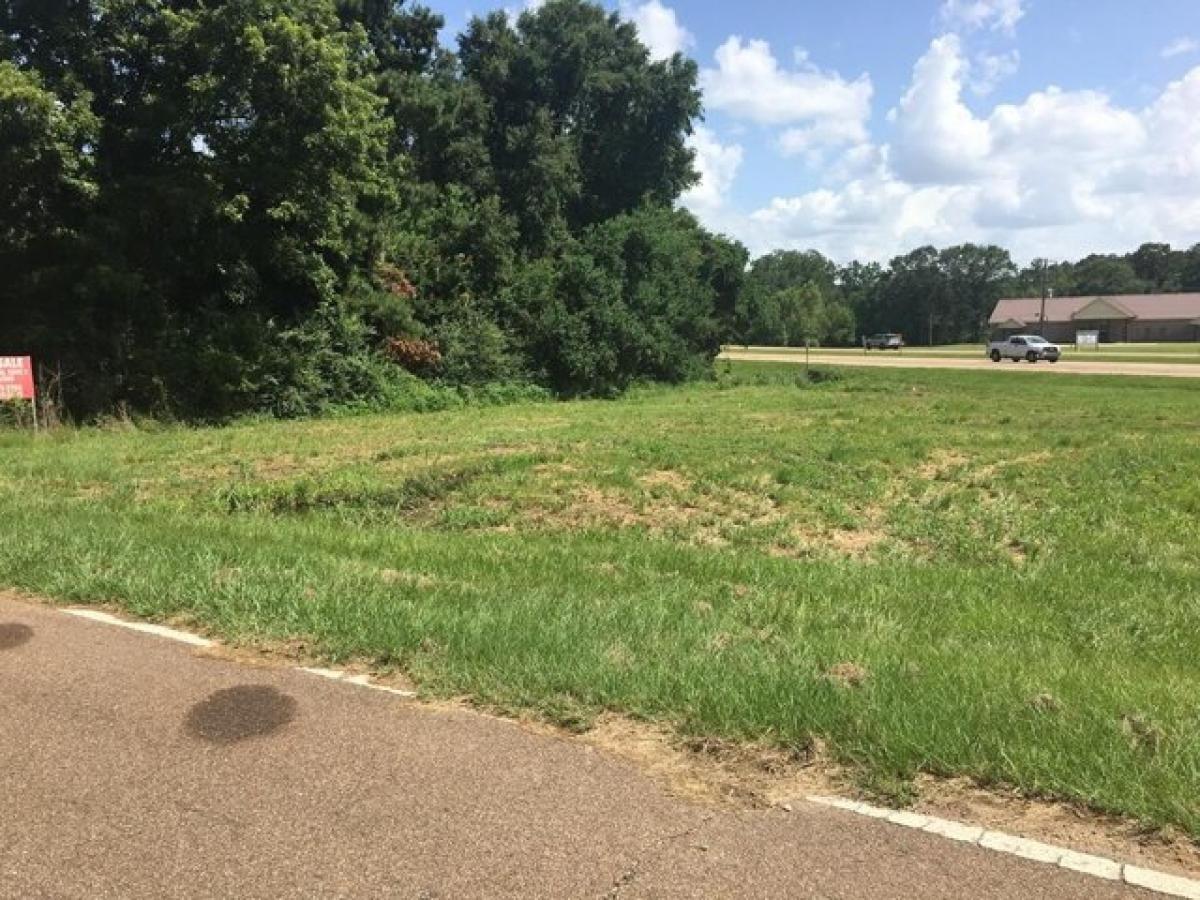 Picture of Residential Land For Sale in Magee, Mississippi, United States