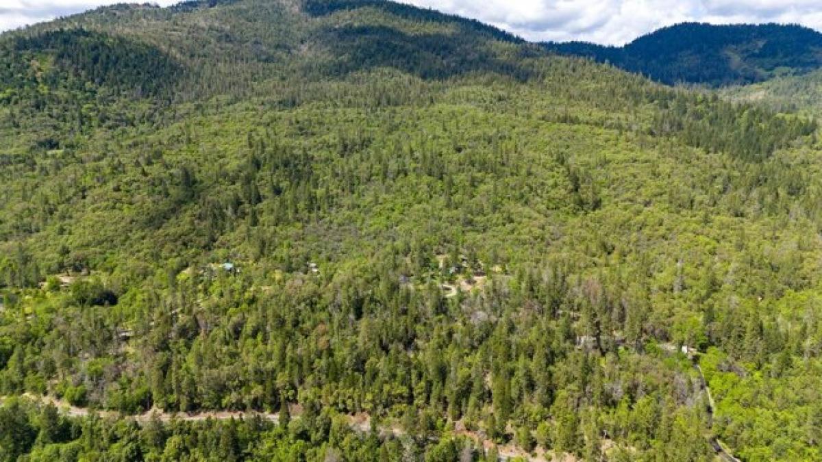 Picture of Residential Land For Sale in Grants Pass, Oregon, United States