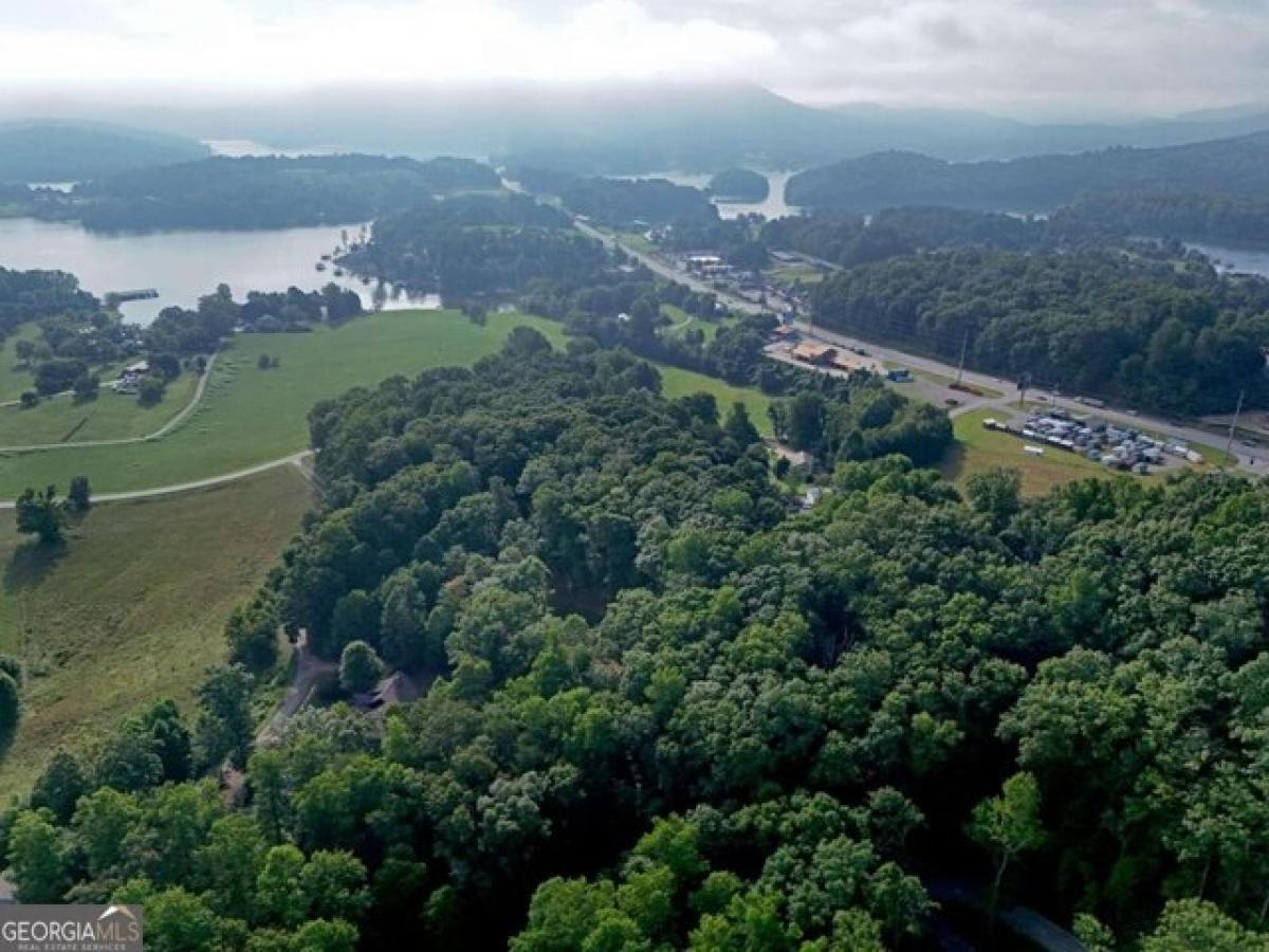 Picture of Residential Land For Sale in Hiawassee, Georgia, United States