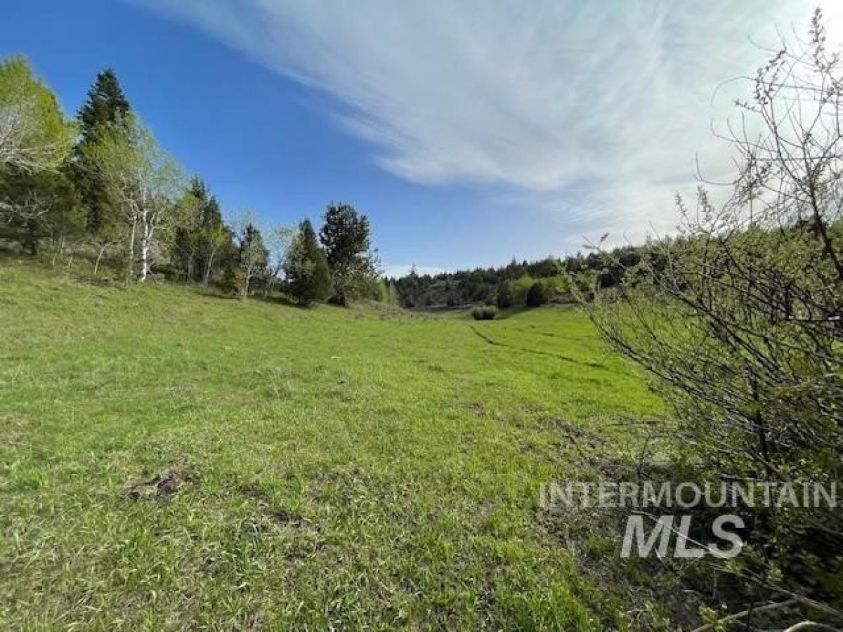 Picture of Residential Land For Sale in Ashton, Idaho, United States