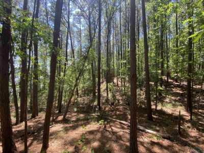 Residential Land For Sale in Shelbyville, Texas