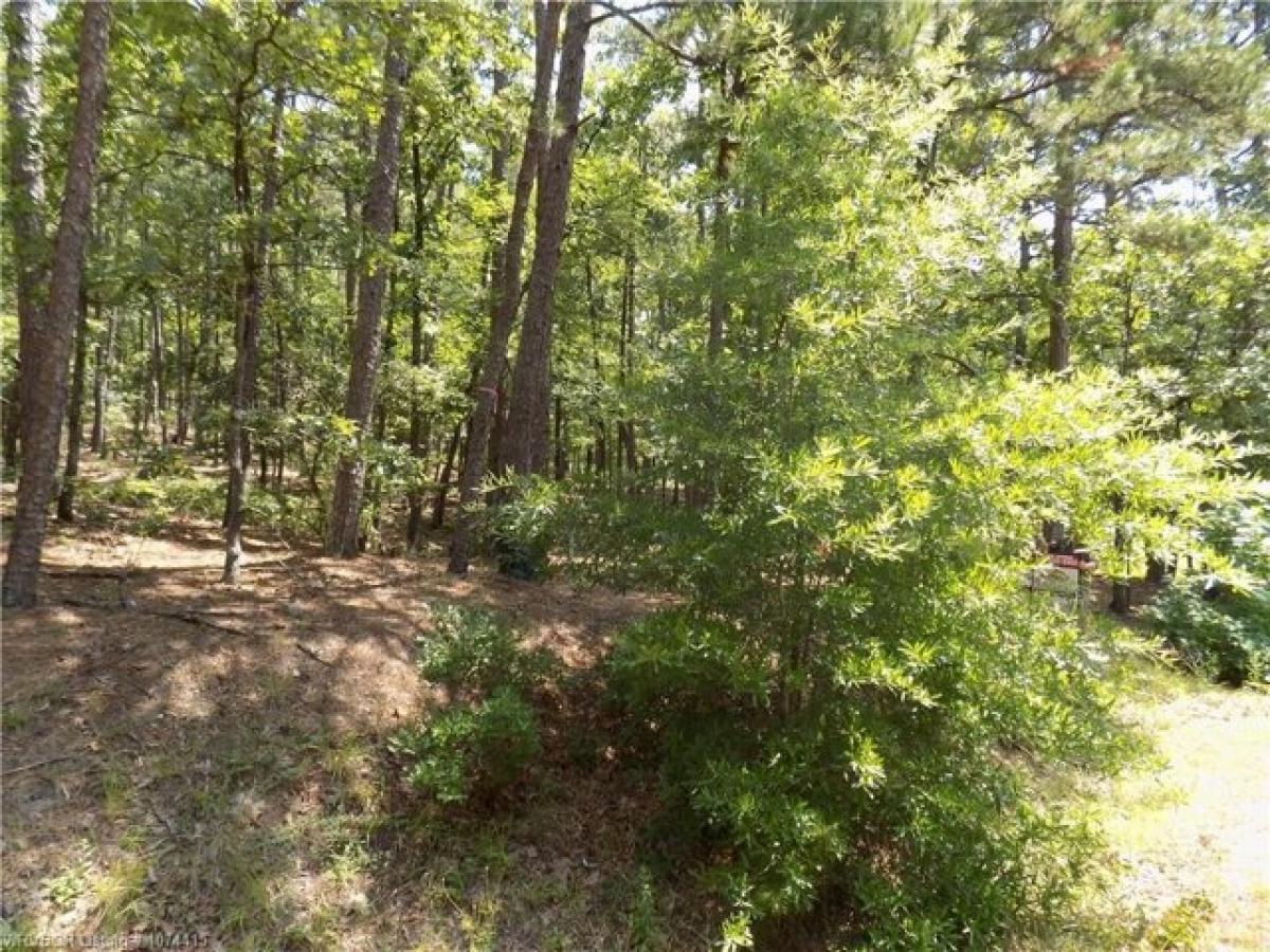 Picture of Residential Land For Sale in Hot Springs Village, Arkansas, United States