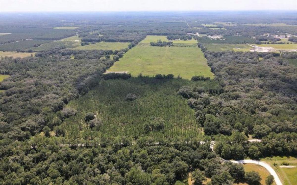 Picture of Residential Land For Sale in Live Oak, Florida, United States