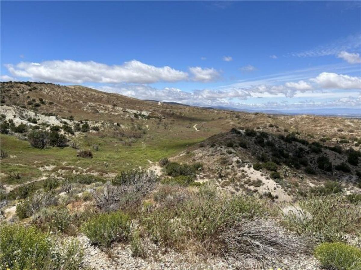 Picture of Residential Land For Sale in Pearblossom, California, United States