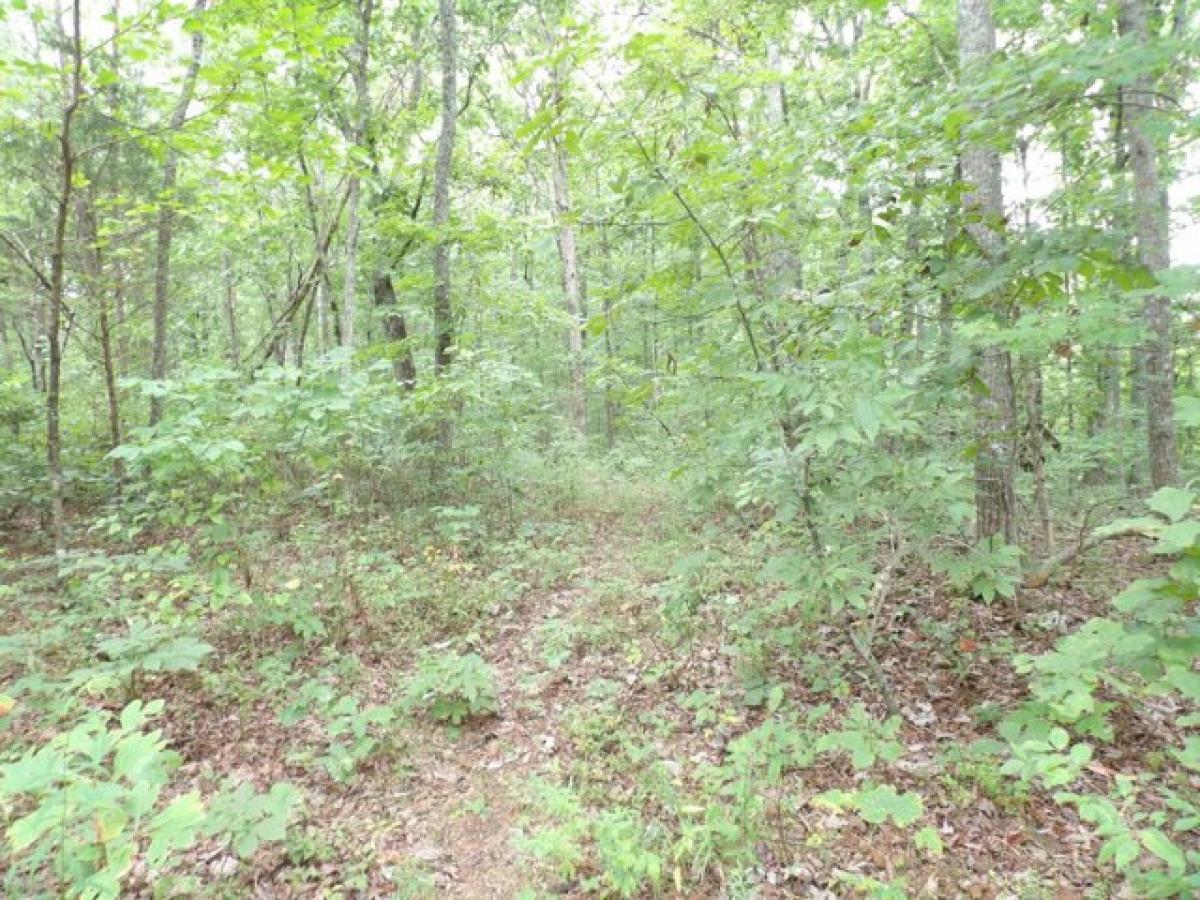 Picture of Residential Land For Sale in Pikeville, Tennessee, United States