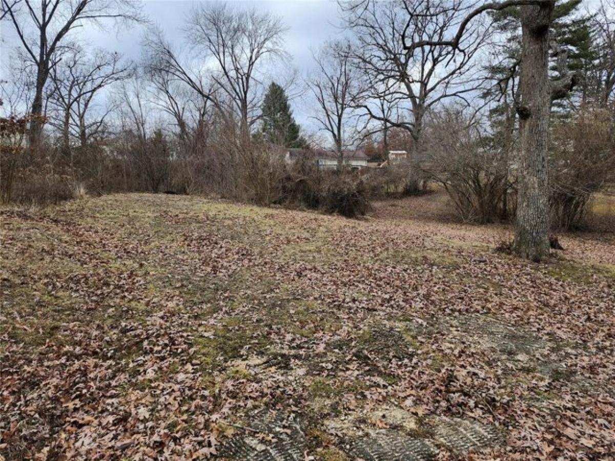 Picture of Residential Land For Sale in Saint Clair, Missouri, United States