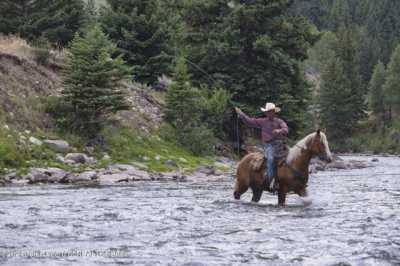 Home For Sale in Kelly, Wyoming