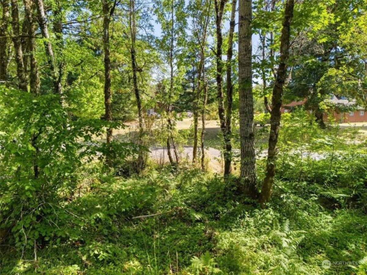 Picture of Residential Land For Sale in Shelton, Washington, United States