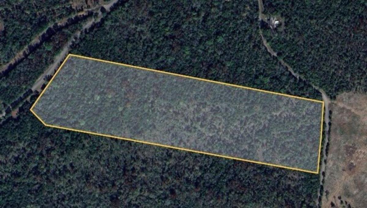 Picture of Residential Land For Sale in Rockvale, Tennessee, United States