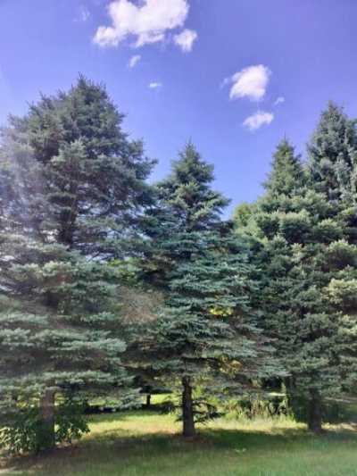 Residential Land For Sale in Fort Gratiot, Michigan