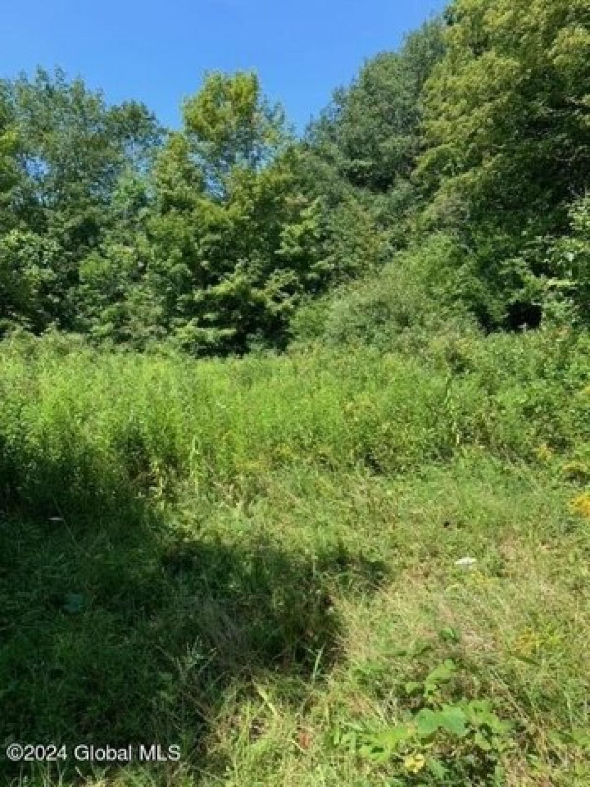 Picture of Residential Land For Sale in Preston Hollow, New York, United States